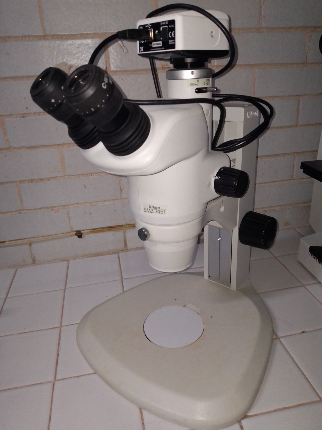 Microscopio estereoscópico con cámara digital
