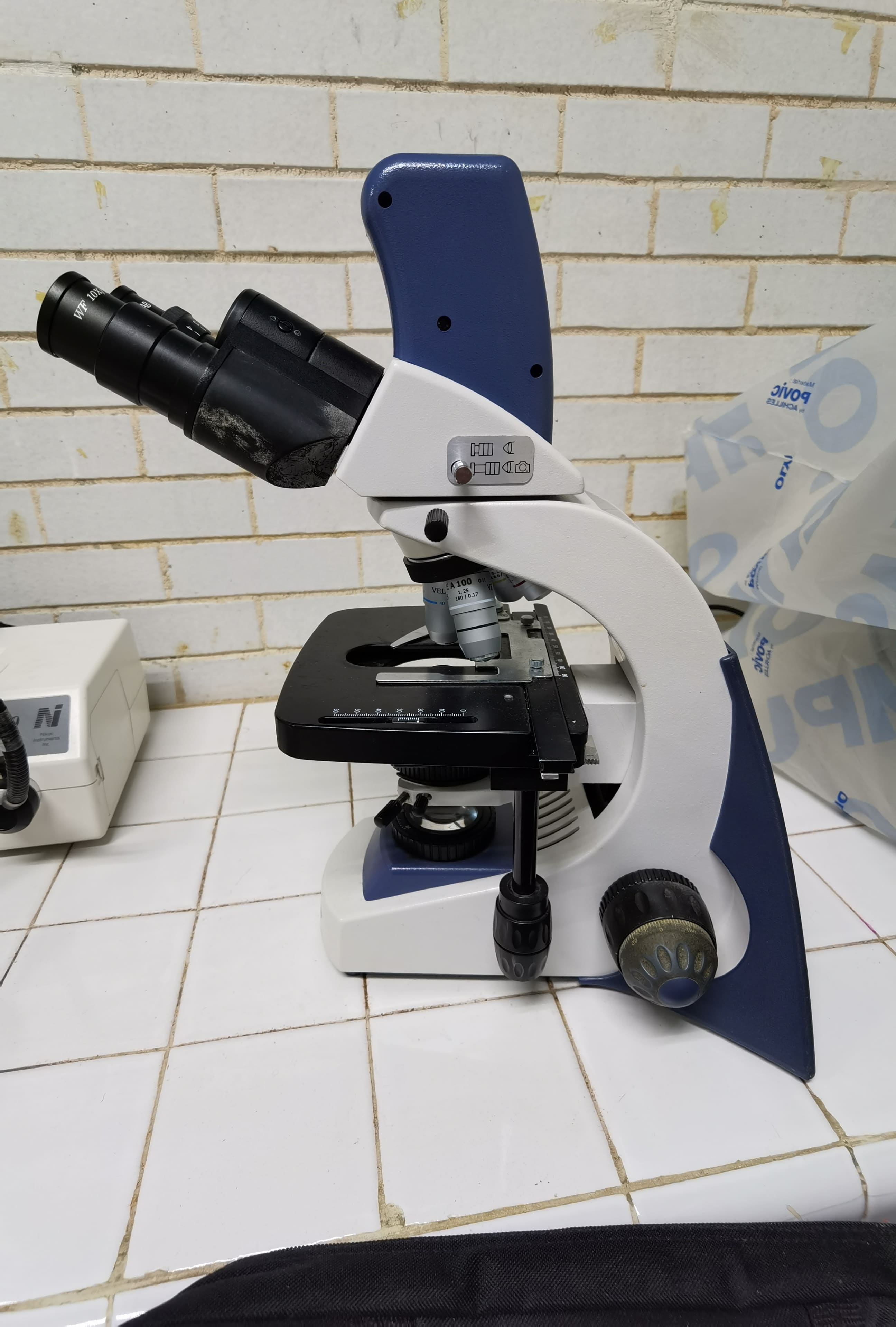 Microscopio Compuesto VELAB con cámara integrada