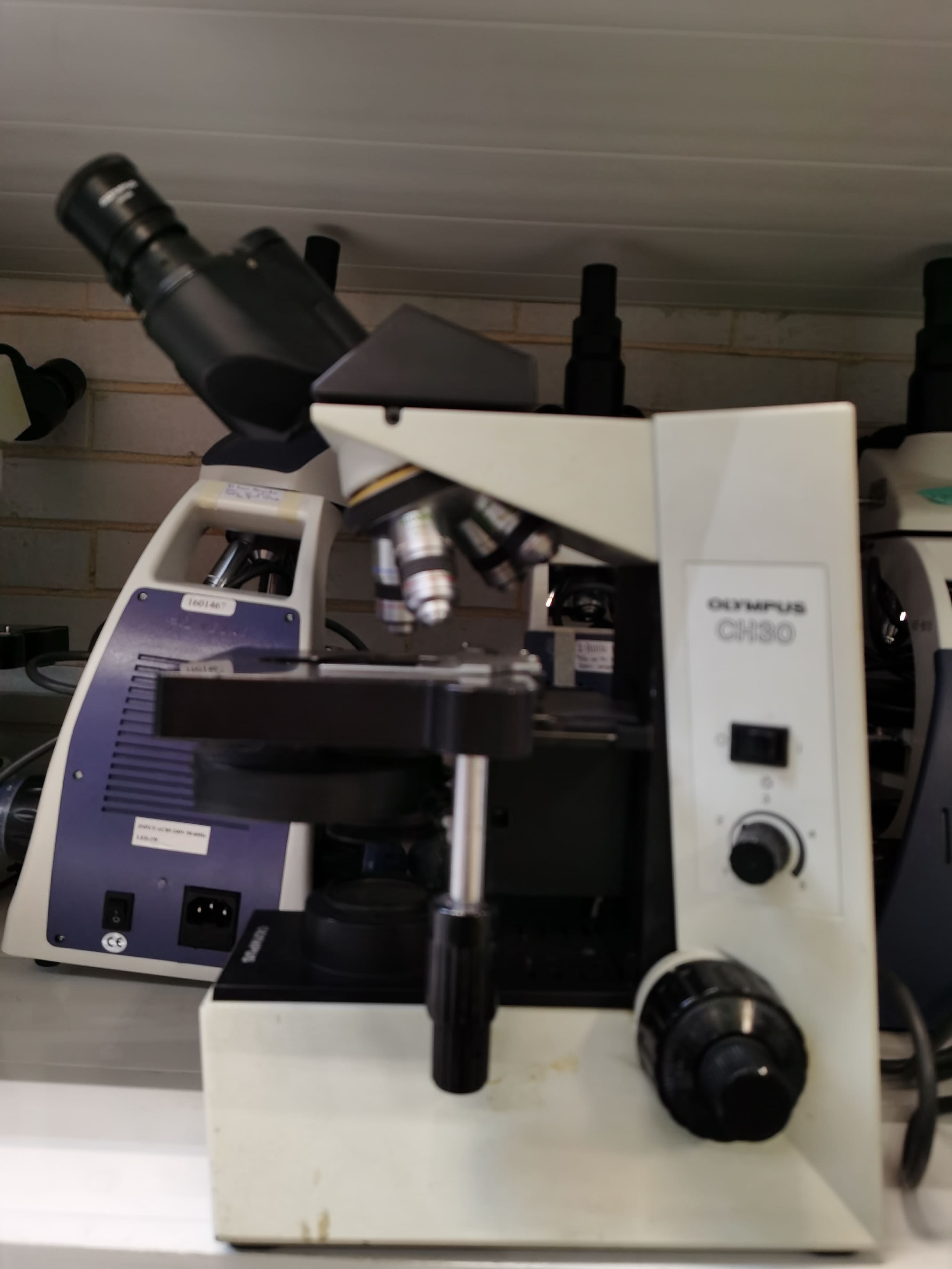 Microscopio Compuesto Olympus CH30 de contraste de fases