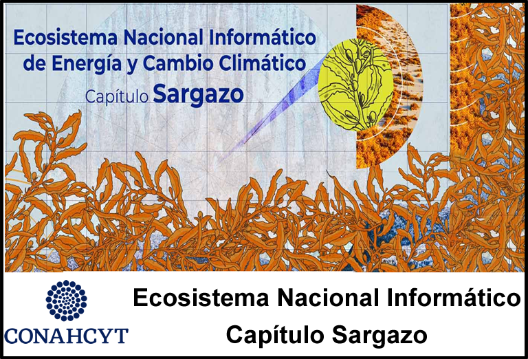 Ecosistema Nacional Informático Capítulo Sargazo CONAHCYT